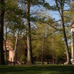 Cenzūra JAV universitete: iš tinklapio išimtas tyrimas, galėjęs „anuliuoti translyčių bendruomenės p...