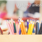 Ugdymo ankstinimas: diskusijos su visuomene ar jos kvailinimas?