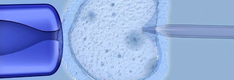 Jungtinėje Karalystėje kritikuojama apvaisinimo procedūra, kurios metu kuriami trijų tėvų embrionai