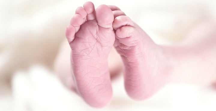 Vyriausybė siūlo leisti laidoti negimusius embrionus