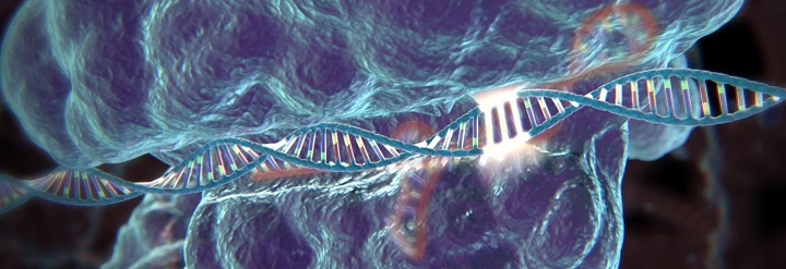 N. Lopez-Moratalla: „Abejoju, ar verta džiaugtis pasiekimais modifikuojant žmogaus genomą“