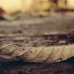 Drastiški fiziniai pokyčiai keičiant lytį nepadės įveikti psichosocialinių bėdų