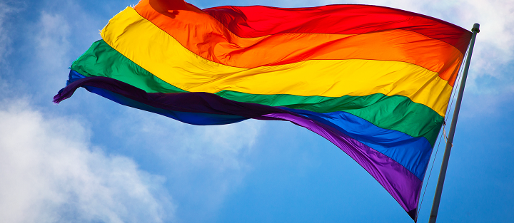 Kodėl homoseksualų teisės nėra naujos pilietinės teisės