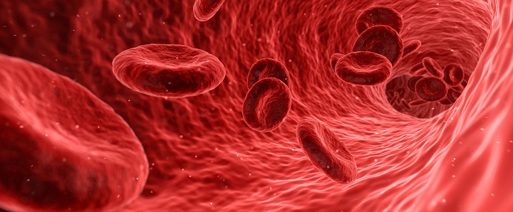 Tyrimas atskleidė, kad lytį „pakeitę“ vyrai patiria didesnę kraujagyslių ligų riziką