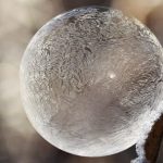 Ar informacijos burbulas apie apvaisinimą mėgintuvėlyje sprogs?