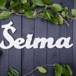 Seime pritarta naujos Lygių galimybių įstatymo redakcijos svarstymui